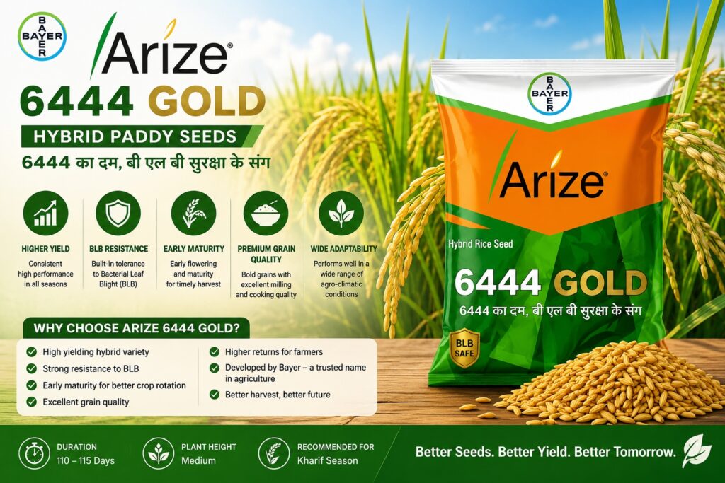 Bayer Arize 6444 Gold