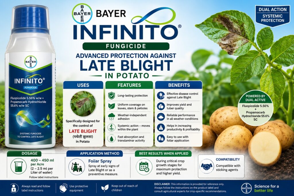 Bayer Infinito Fungicide: Uses, Features, Benefits